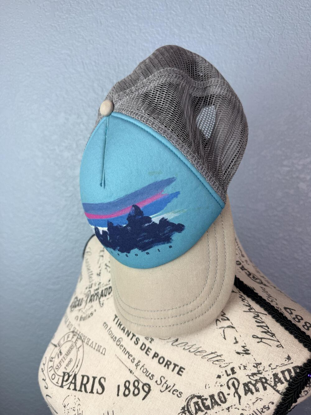 Patagonia Hat Cap Snap Back One Size Blue Mesh Trucker Mountain Graphic Mens